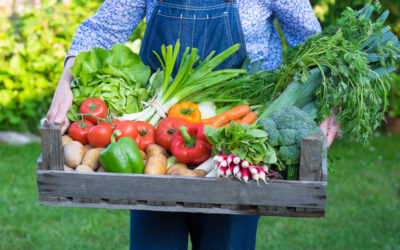 Paniers de légumes Bio